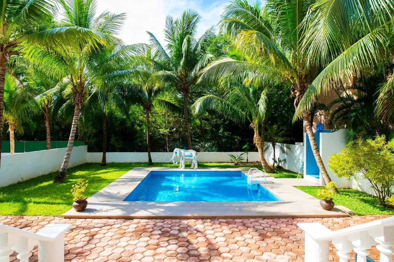 Homestay Wellnes Clinic Nery Om Apartment Playa del Carmen Mexico