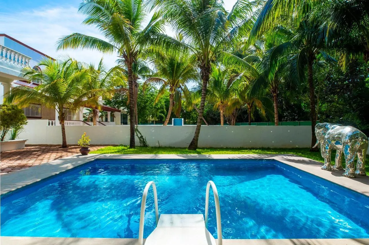 Wellnes Clinic Nery Om Apartment Playa del Carmen Homestay